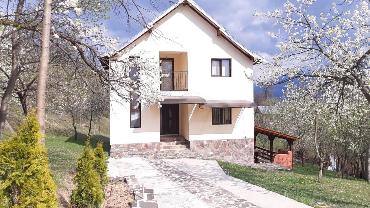 Casa Flutar Moisei Exterior foto
