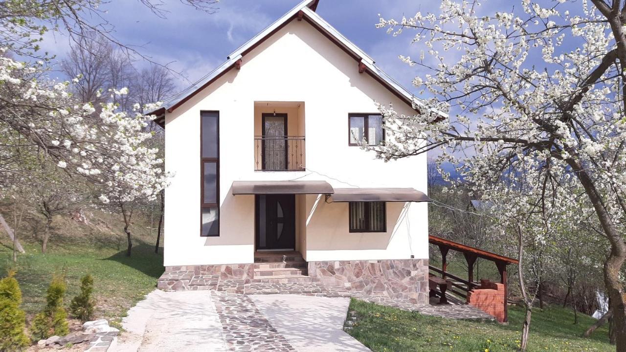 Casa Flutar Moisei Exterior foto